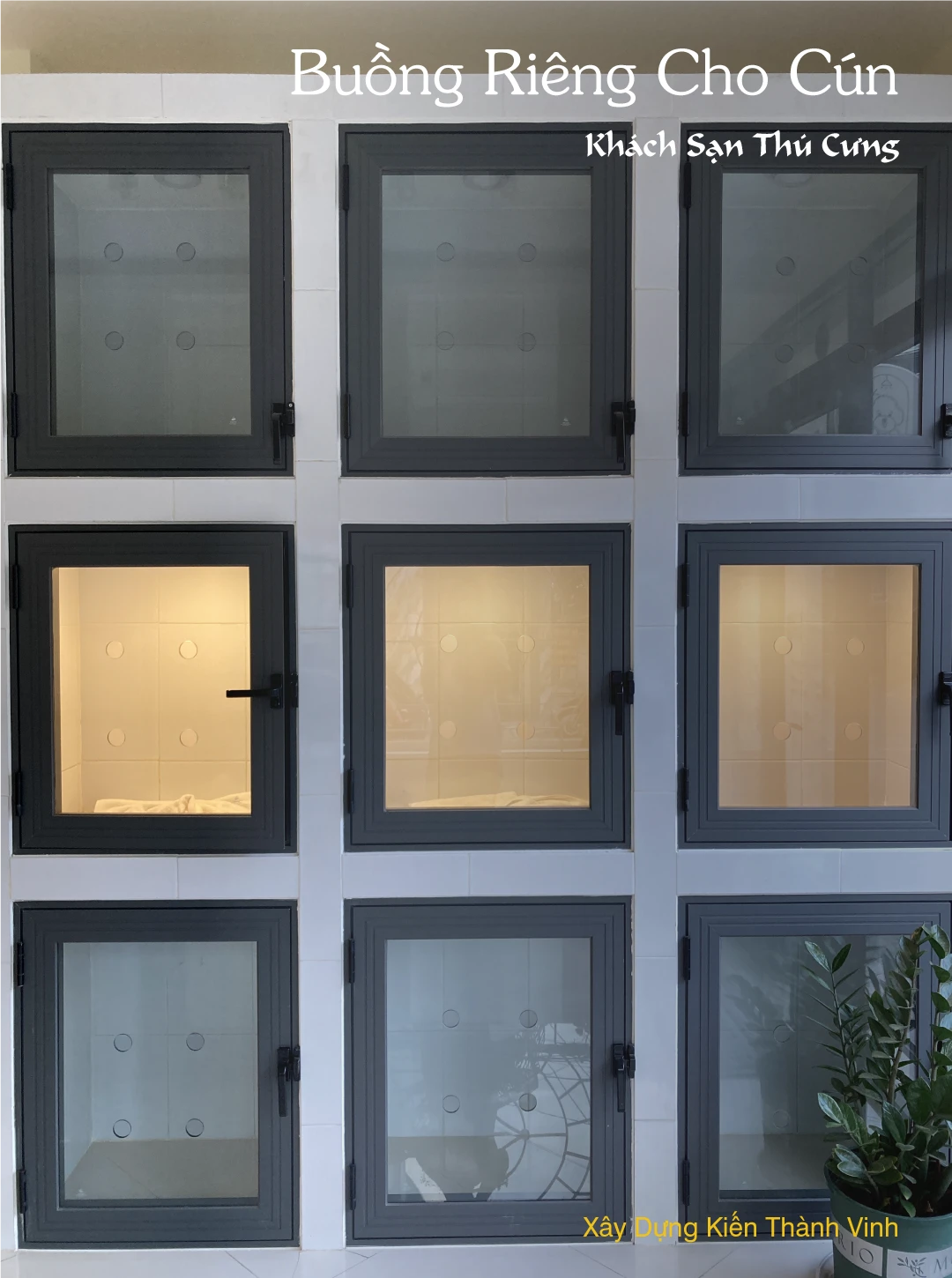 buồng riêng cho cún Khách sạn thú cưng độc đáo dành cho cún yêu Pet Hotel