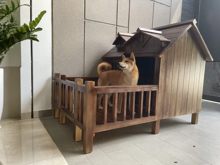 Góc riêng cho thú cưng